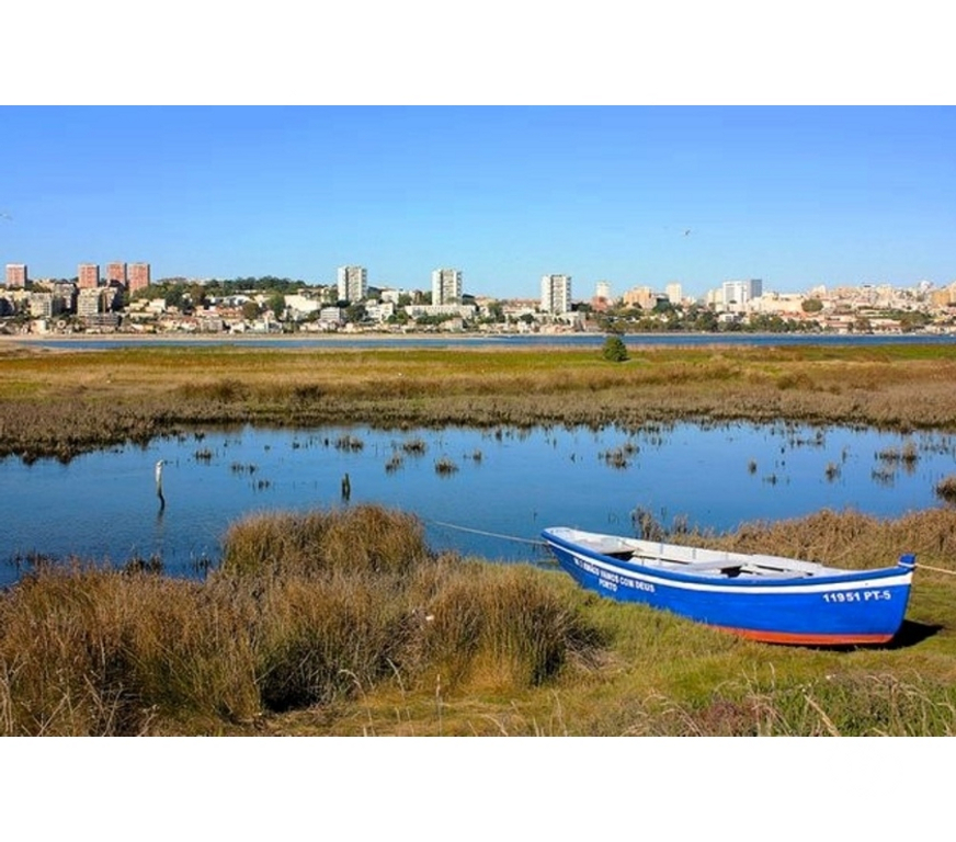 Appartements à vendre Portugal - Photos Vivastreet T2 Living Sea III – Terrasse Panoramique Mer & Douro