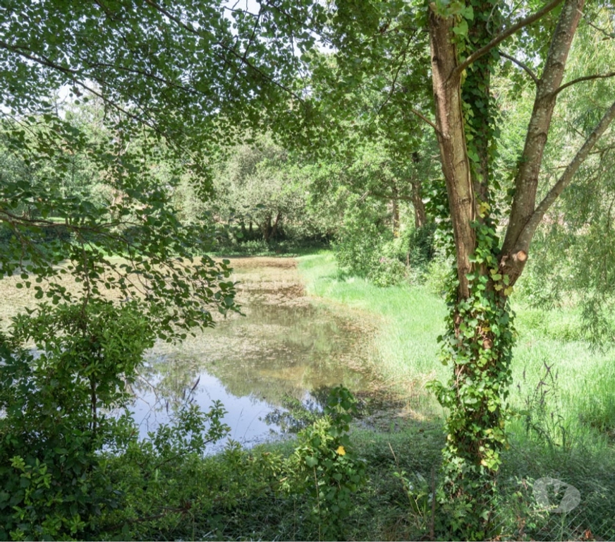 Appartements à vendre Pyrénées-Atlantiques Anglet - 64600 - Photos Vivastreet Charmant T2 côte basque