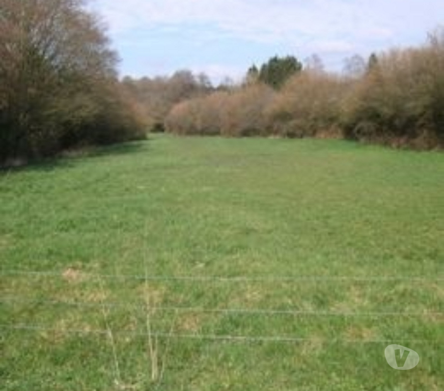 Terrain à vendre Belgique - Photos Vivastreet terrain à bâtir 1 2 Ha