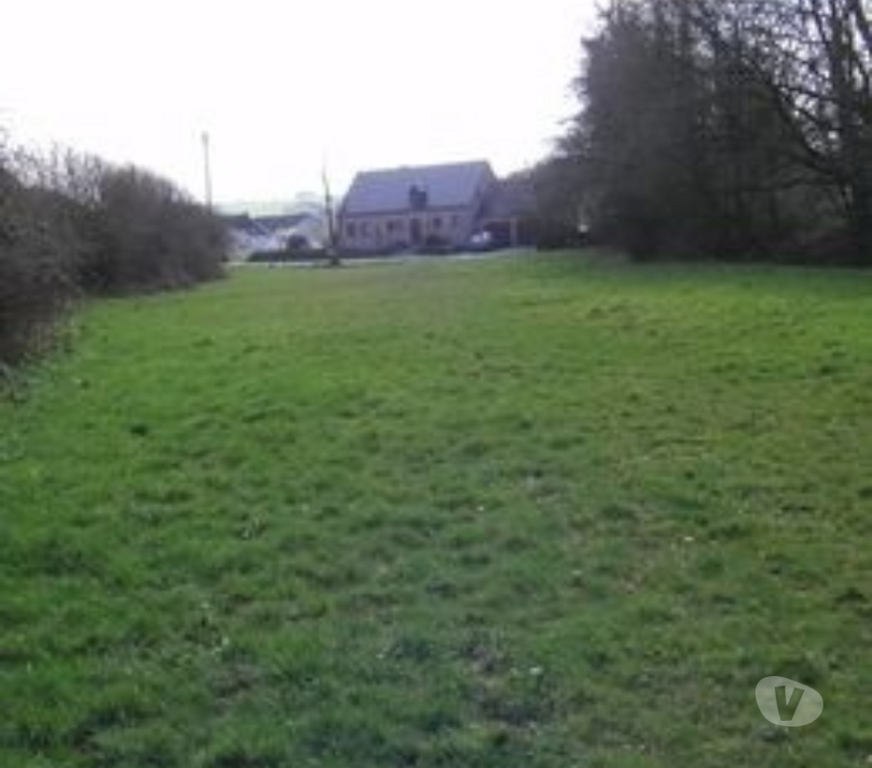 Terrain à vendre Belgique - Photos Vivastreet terrain à bâtir 1 2 Ha