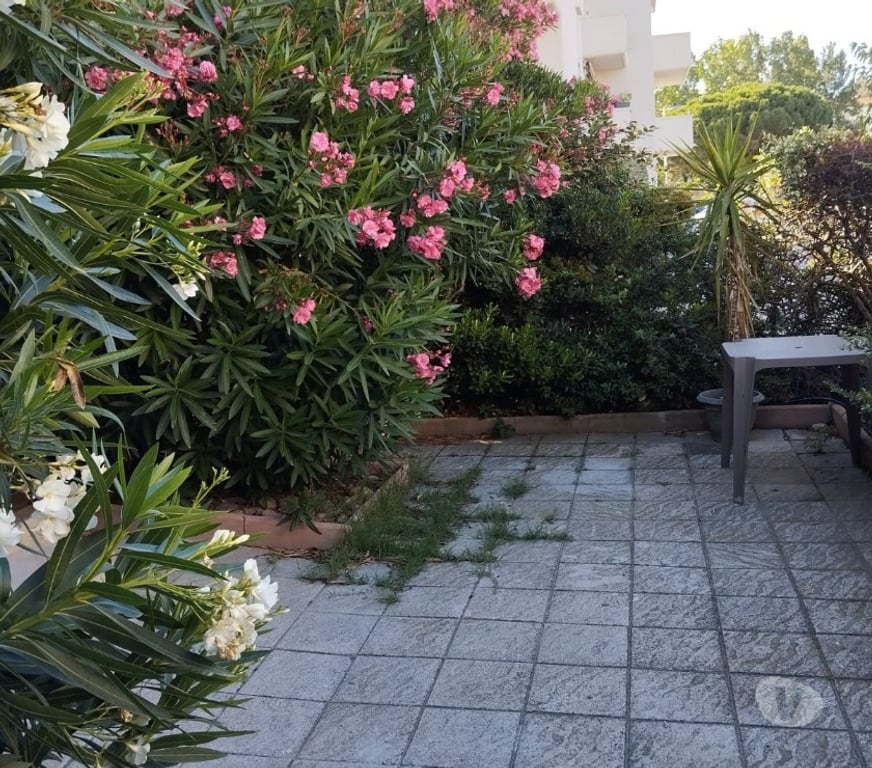 Appartement meublé Pyrénées-Orientales Canet en Roussillon - 66140 - Photos Vivastreet STOP-Canet en Roussillon-SAISONNIER-ETUDIANT-F2-45m2-parking