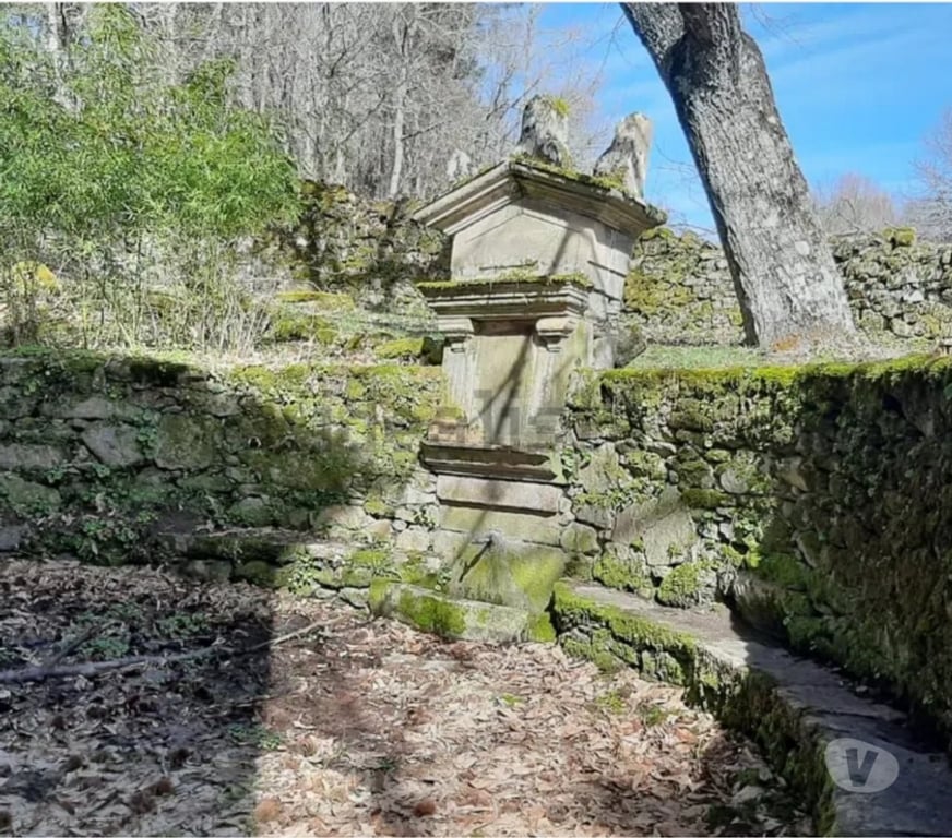 Vente Terres Agricoles Espagne - Photos Vivastreet Propriété, ancien SPA, à rénover en Galice, Espagne