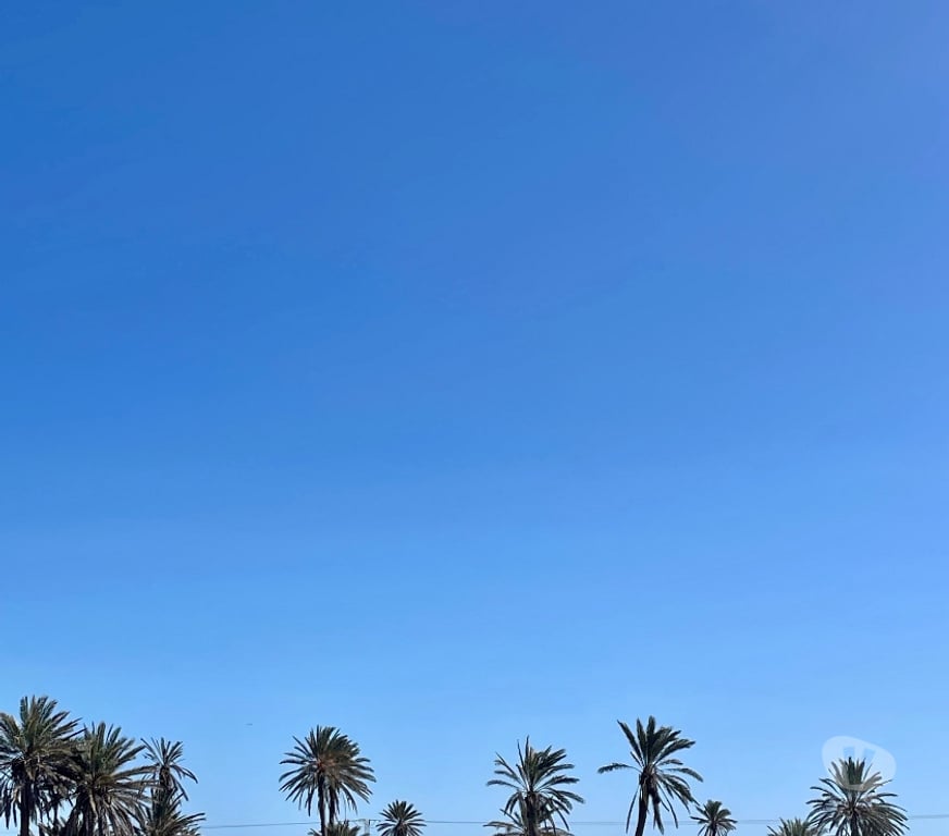 Vente Maison Tunisie - Photos Vivastreet Très belle villa avec piscine