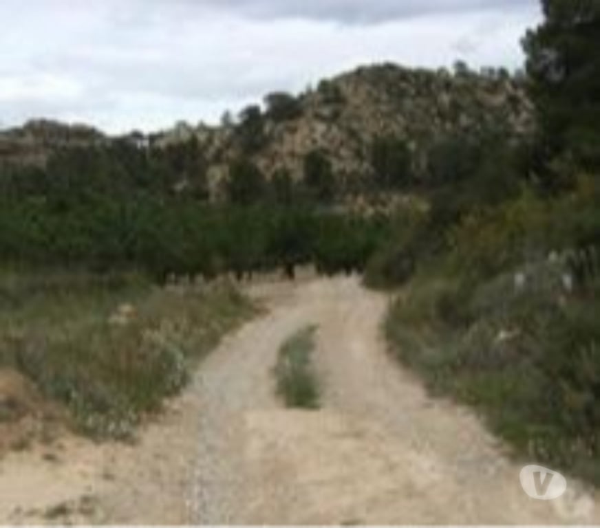 Terrain à vendre Espagne - Photos Vivastreet 1 euro par mètre carré.....Aragon Espagne