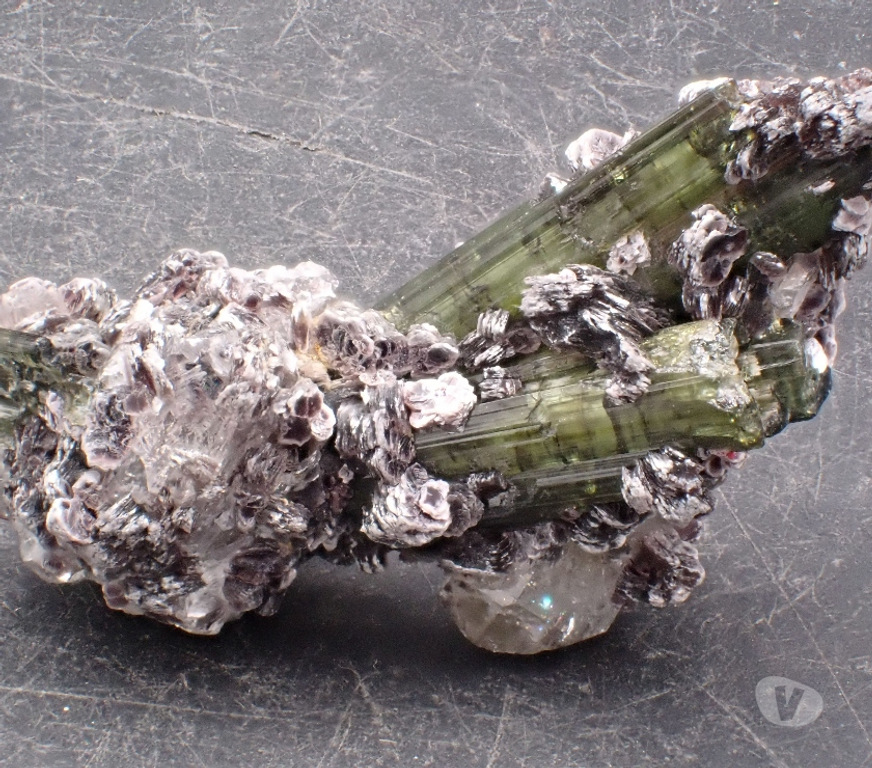 Collection Meurthe-et-Moselle Bertrichamps - 54120 - Photos Vivastreet Tourmaline Elbaïte Verdélite Lépidolite Minas Gerais