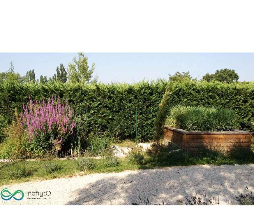  Sarthe Change - 72560 - Photos Vivastreet Phytoépuration Inphyto de 3 à 18EH