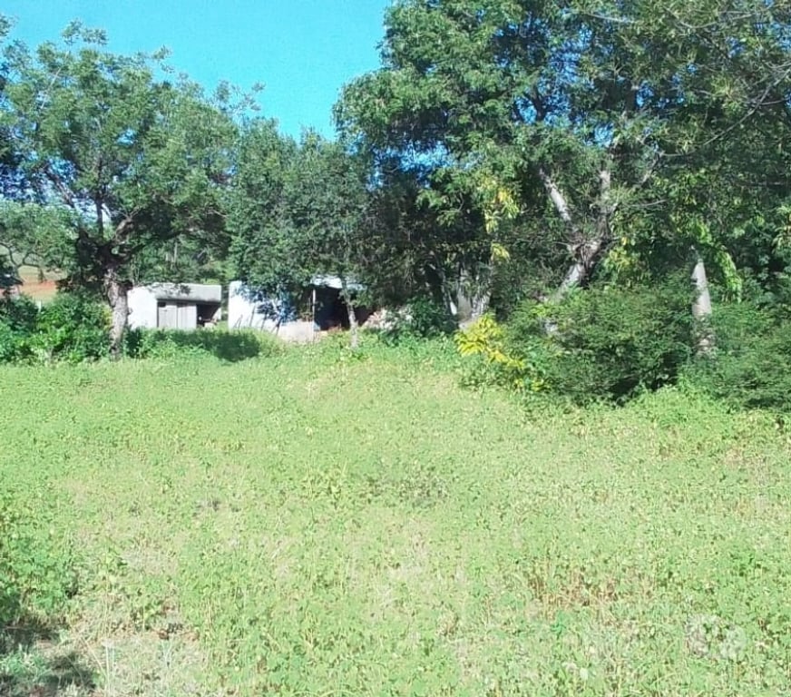 Vente Maison Madagascar - Photos Vivastreet 🏠 MAGNIFIQUE DOMAINE sur 1ha, route Ramena 🌊🏖️