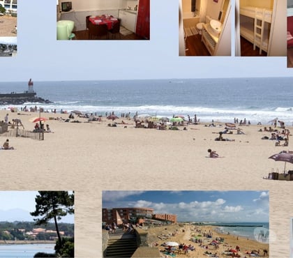 locations saisonnieres Capbreton Landes - Photos Vivastreet PORT CAPBRETON T1B 2 Pièces 3 couch.