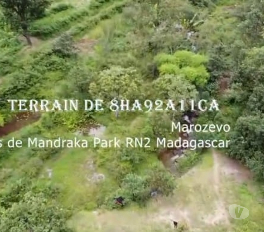 Terrain à vendre Madagascar - Photos Vivastreet TERRAIN D’EXCEPTION – 9 HECTARES À MANDRAKA