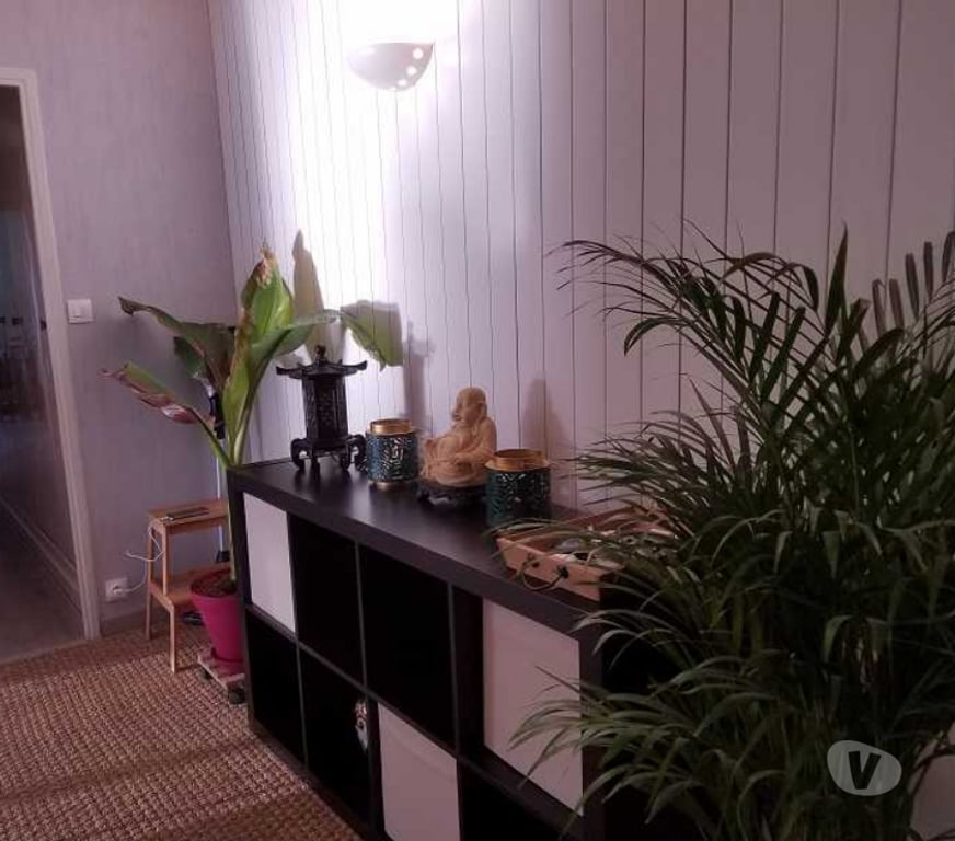 Colocations Rhône Villeurbanne - 69100 - Photos Vivastreet À louer- chambres en colocation