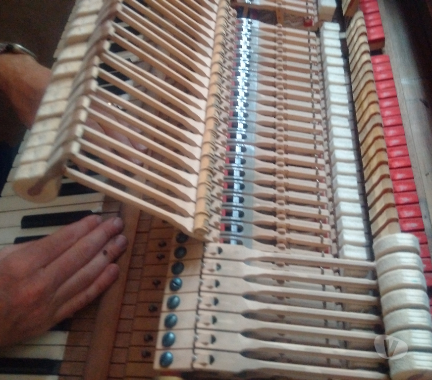 Instruments de musique Bas-Rhin Strasbourg - Photos Vivastreet Piano de prestige Steinway&Sons quart de queue S-155 cm 1970