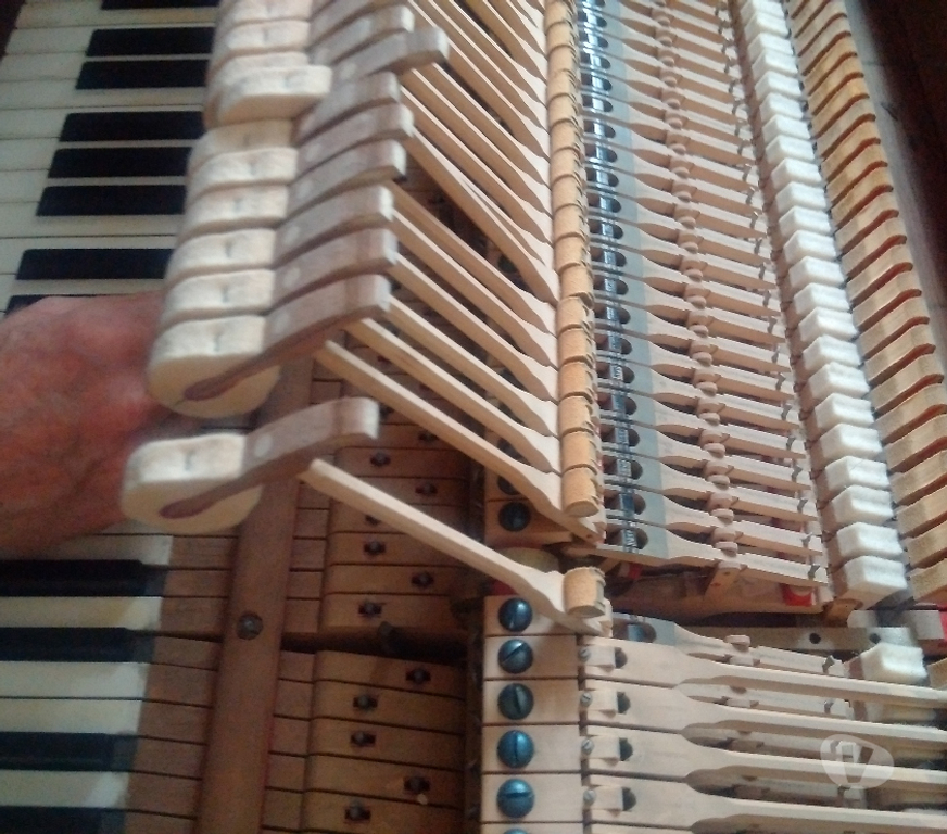 Instruments de musique Bas-Rhin Strasbourg - Photos Vivastreet Piano de prestige Steinway&Sons quart de queue S-155 cm 1970