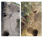 Entreprise de travaux de forage et d'entretien de jardin