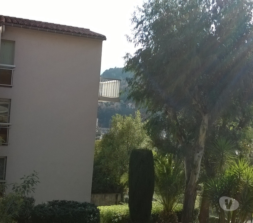 location saisonniere Pyrénées-Orientales Amelie les Bains Palalda - 66110 - Photos Vivastreet T2 terrasse SUD à 5 min thermes cure octobre