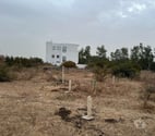 Sénégal - Etranger — Terrain a vendre a Gandigal Mbour