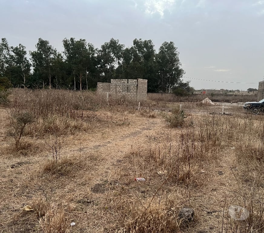 Terrain à vendre Sénégal - Photos Vivastreet Terrain a vendre a Gandigal Mbour