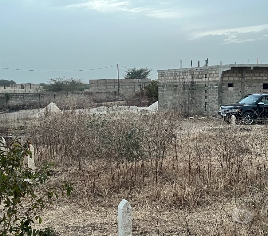 Terrain à vendre Sénégal - Photos Vivastreet Terrain a vendre a Gandigal Mbour