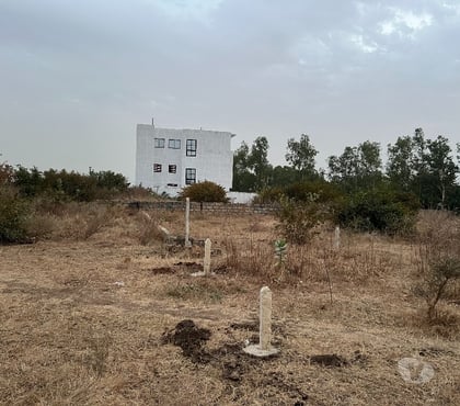 Vente Terrain - Photos Vivastreet Terrain a vendre a Gandigal Mbour