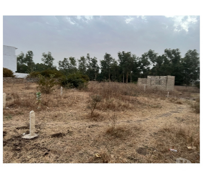 Vente Terrain - Photos Vivastreet Terrain a vendre a Gandigal Mbour