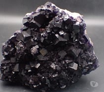 Photos Vivastreet Fluorite XXL , Mine Esperanza , Musquiz , Coahuila , Mexique