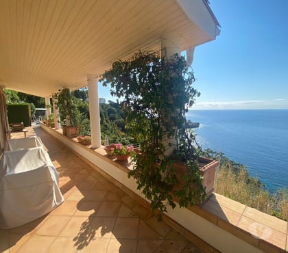 Immeuble à vendre St Tropez Var - Photos Vivastreet uniquement pour esthète