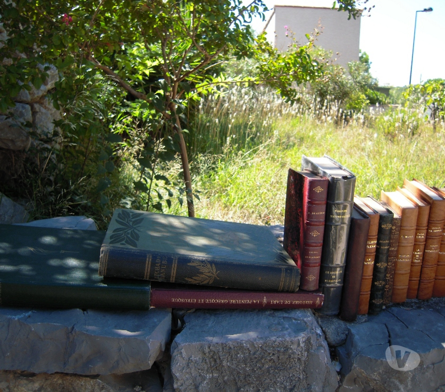 Livres occasion Hérault Villeveyrac - 34560 - Photos Vivastreet CAISSES DE LIVRES ANCIENS DES XVIII & XIX EMES SIECLES.