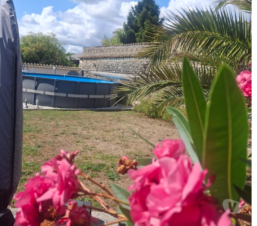 Vente Maison Charente Roullet St Estephe - Photos Vivastreet Maison charentaise