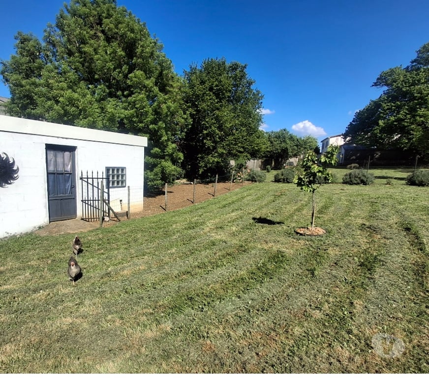 Vente Maison Charente Roullet St Estephe - Photos Vivastreet Maison charentaise