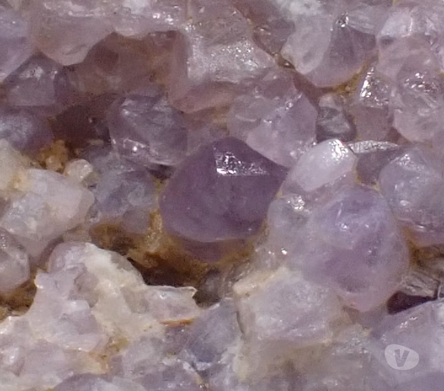 Collection Meurthe-et-Moselle Bertrichamps - 54120 - Photos Vivastreet Cristaux de Fluorapatite violette & Quartz , Tréguennec