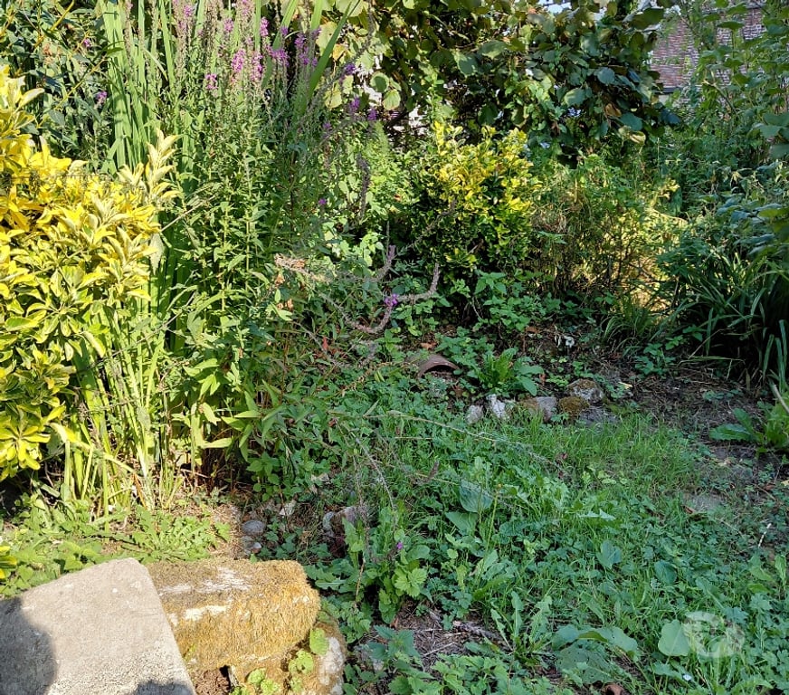 Vente Maison Oise Jouy sous Thelle - 60240 - Photos Vivastreet Maison de plein