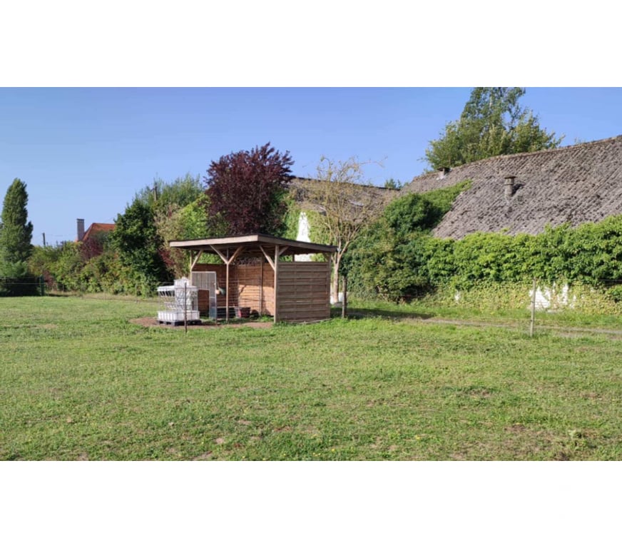Services, accessoires animaux Nord Lille - Photos Vivastreet Prairie à louer