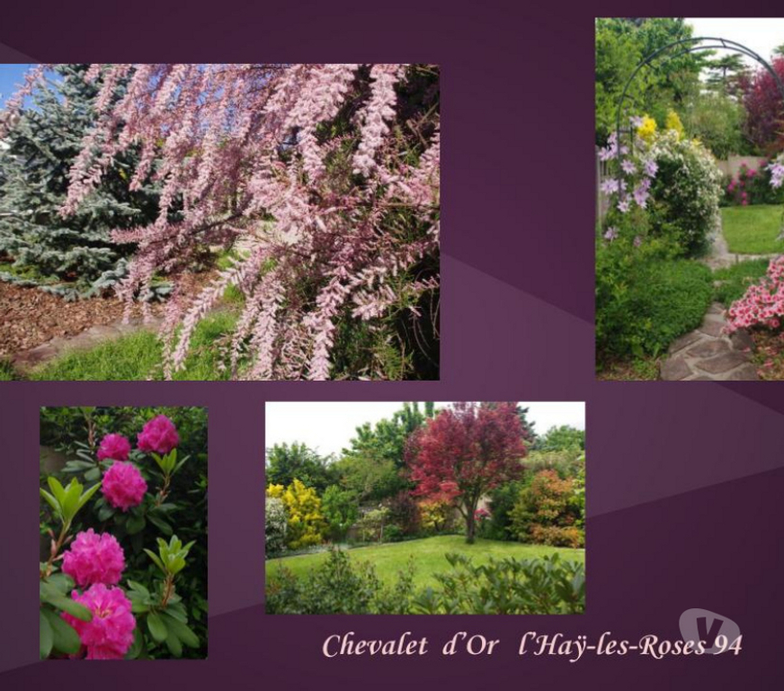 Autres cours Val-de-Marne L'Hay les Roses - 94240 - Photos Vivastreet COURS de PEINTURE