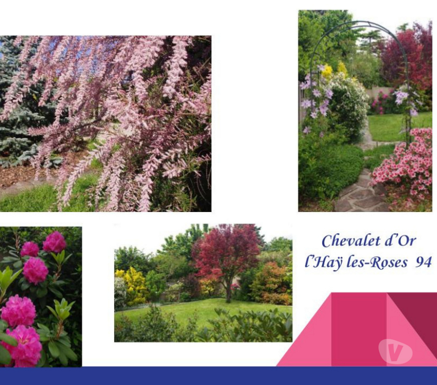 Autres cours Val-de-Marne L'Hay les Roses - 94240 - Photos Vivastreet ¨COURS de DESSIN