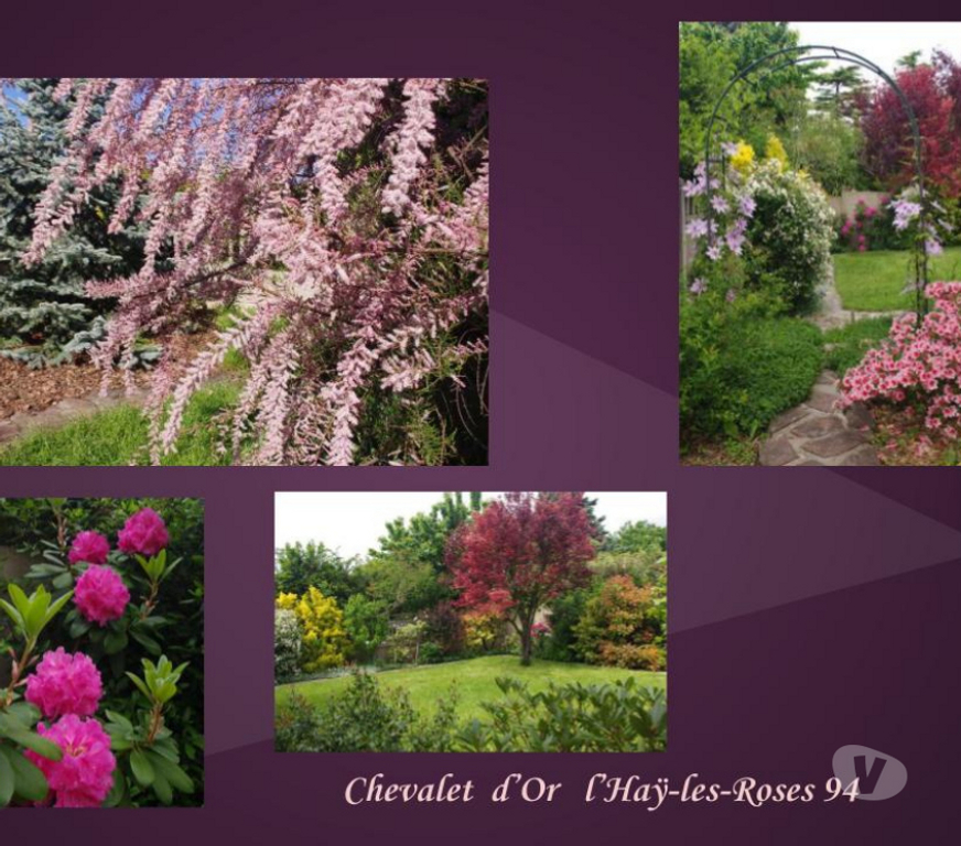 Autres cours Val-de-Marne L'Hay les Roses - 94240 - Photos Vivastreet COURS de PORTRAIT