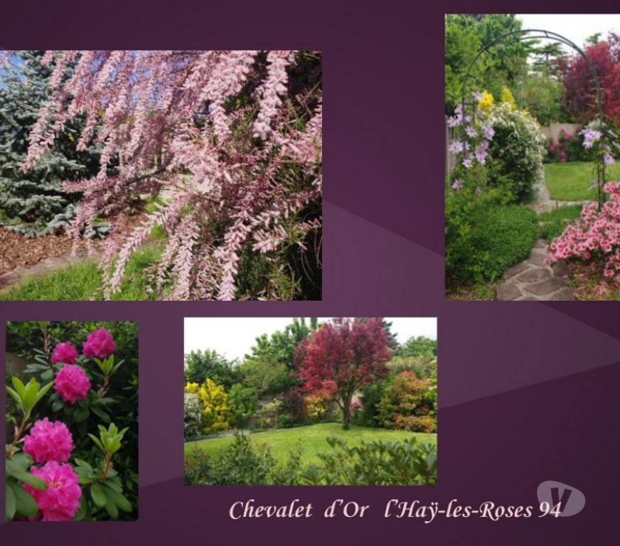 Autres cours Val-de-Marne L'Hay les Roses - 94240 - Photos Vivastreet COURS de PEINTURE