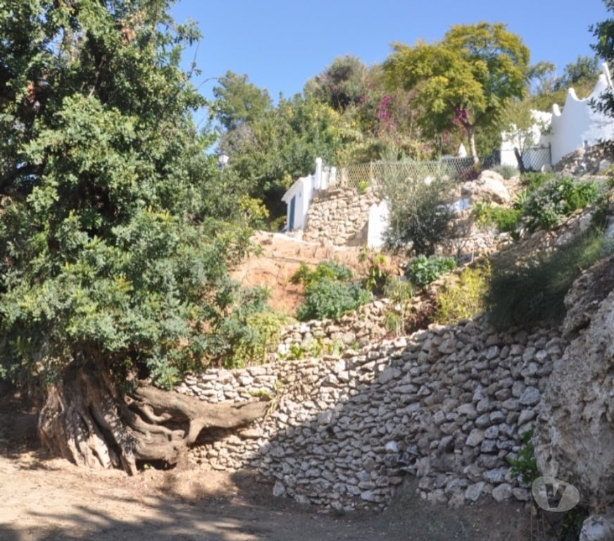 location saisonniere Espagne - Photos Vivastreet Maison en Andalousie à 4 mns des plages et de la montagne