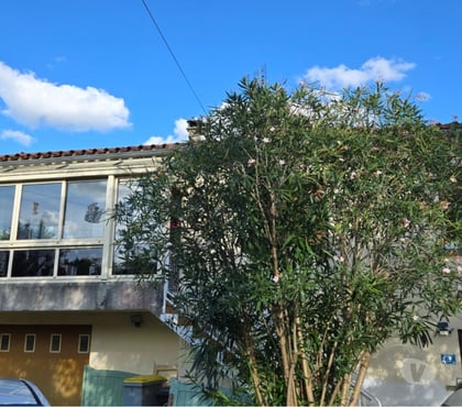 Achat maison Pissotte Vendée - Photos Vivastreet maison a vendre