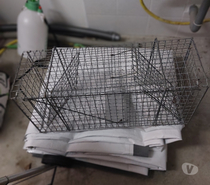 piege pour nuisibles et predateur