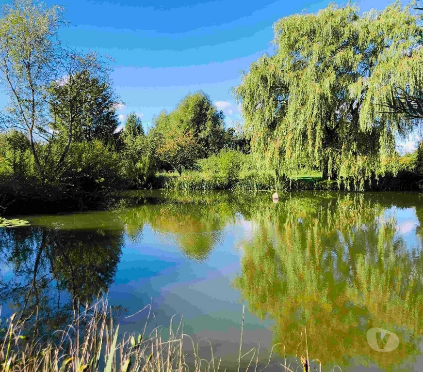 Vente Maison Orne Sees - 61500 - Photos Vivastreet Longère 370 m² (Gîte + Habitation)