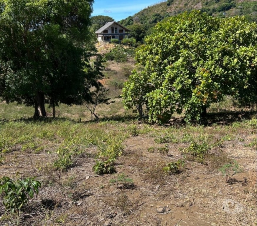 Terrain à vendre Madagascar - Photos Vivastreet A VENDRE TERRAIN 1600 M2 TITRE BORNE A NOSY BE