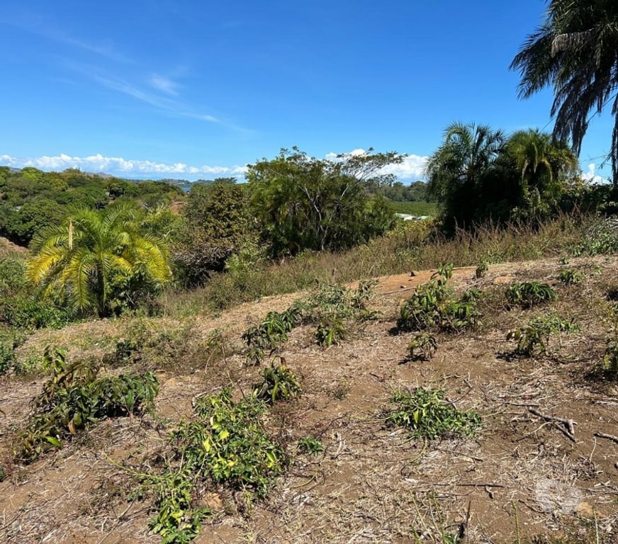 Terrain à vendre Madagascar - Photos Vivastreet A VENDRE TERRAIN 1600 M2 TITRE BORNE A NOSY BE