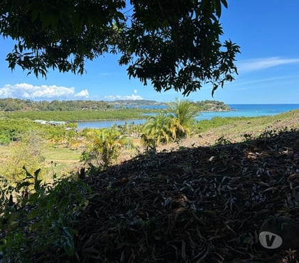 Vente Terrain - Photos Vivastreet A VENDRE TERRAIN 1600 M2 TITRE BORNE A NOSY BE