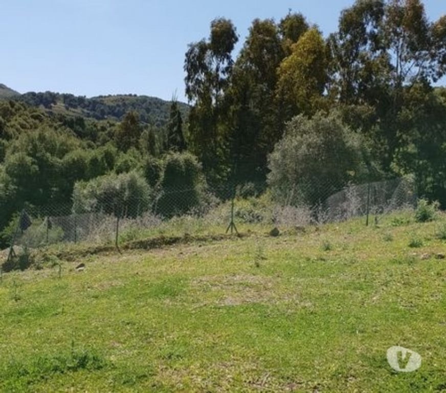 Terrain à vendre Algérie - Photos Vivastreet TERRAIN CHERCHELL TIPAZA ALGÉRIE