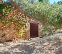Ferme de 4 hectares cloturee avec maison