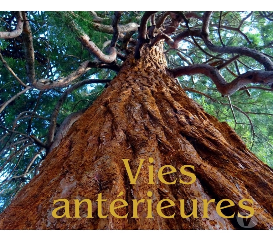 Horoscope - Voyance Sarthe Le Mans - Photos Vivastreet ✨ Consultations intuitives sur photo ✨