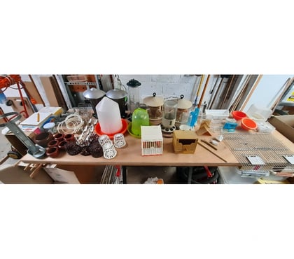 Services, accessoires animaux Wattrelos Nord - Photos Vivastreet Accessoires pour cages à oiseaux