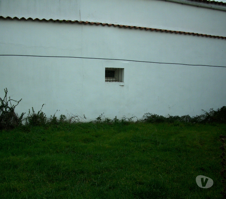 Parkings - Garages Charente-Maritime Mornac sur Seudre - 17113 - Photos Vivastreet Jardin 150 m² à louer centre historique Mornac sur Seudre
