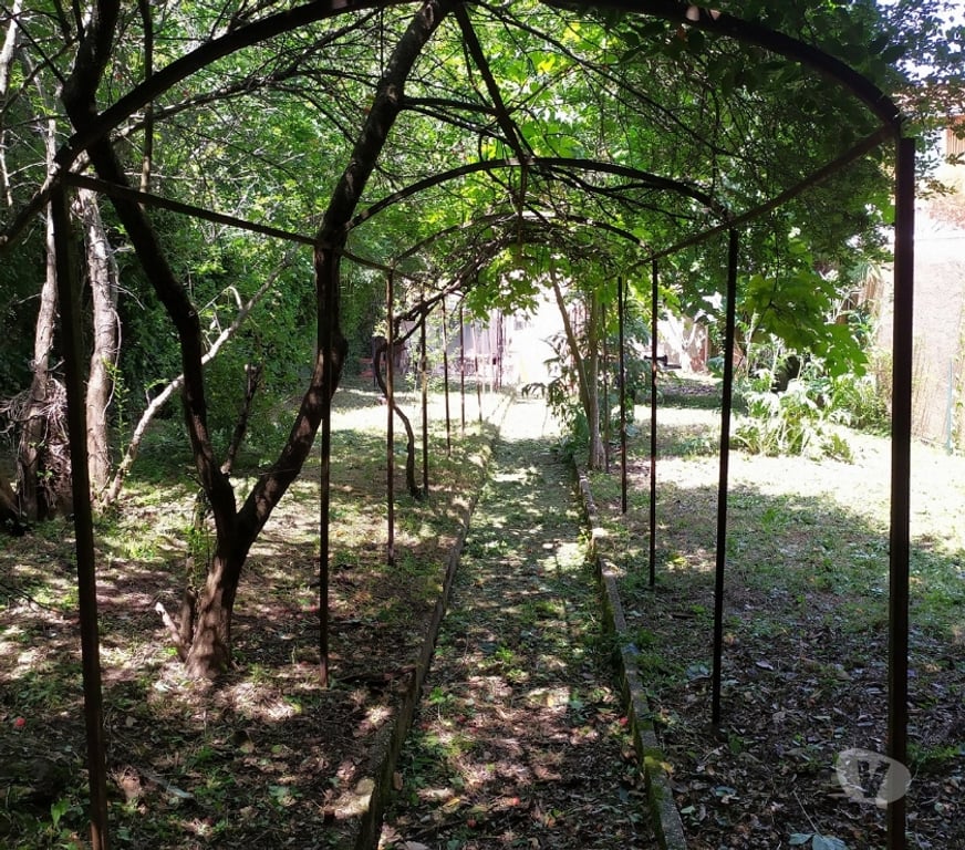 Vente Maison Haute-Garonne Toulouse - Photos Vivastreet MAISON de charme + JARDIN constructible + STUDIO-terrasse