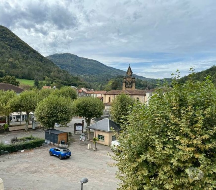Vente Immeuble Ariège Seix - 09140 - Photos Vivastreet Immeuble d´appartements
