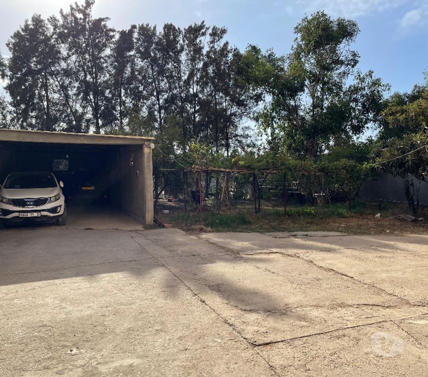 Vente Immeuble Algérie - Photos Vivastreet Immeuble de rapport Boumerdès quartier Villa Elder